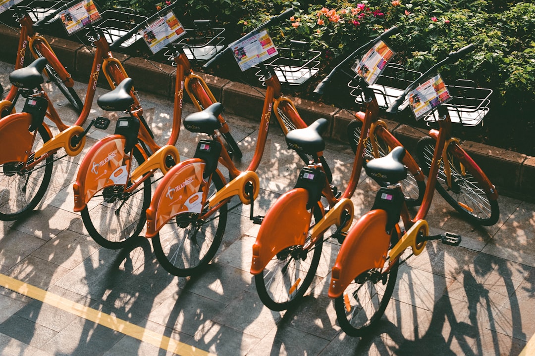 a-row-of-orange-bikes-parked-next-to-each-other-wkvxcfovpdq
