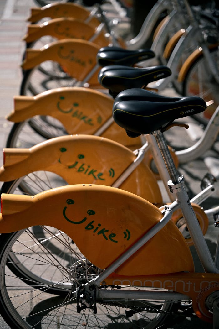 A row of eye-catching yellow rental bikes available in a city bike-sharing program.