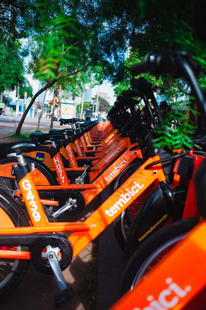 Home A line of vibrant orange rental bikes under leafy trees, perfect for summer rides.