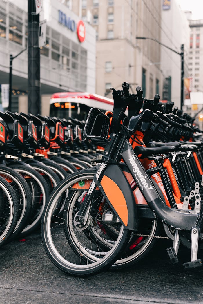 Home Rows of orange rental bicycles parked at an urban station in city center, ideal for eco-friendly travel.